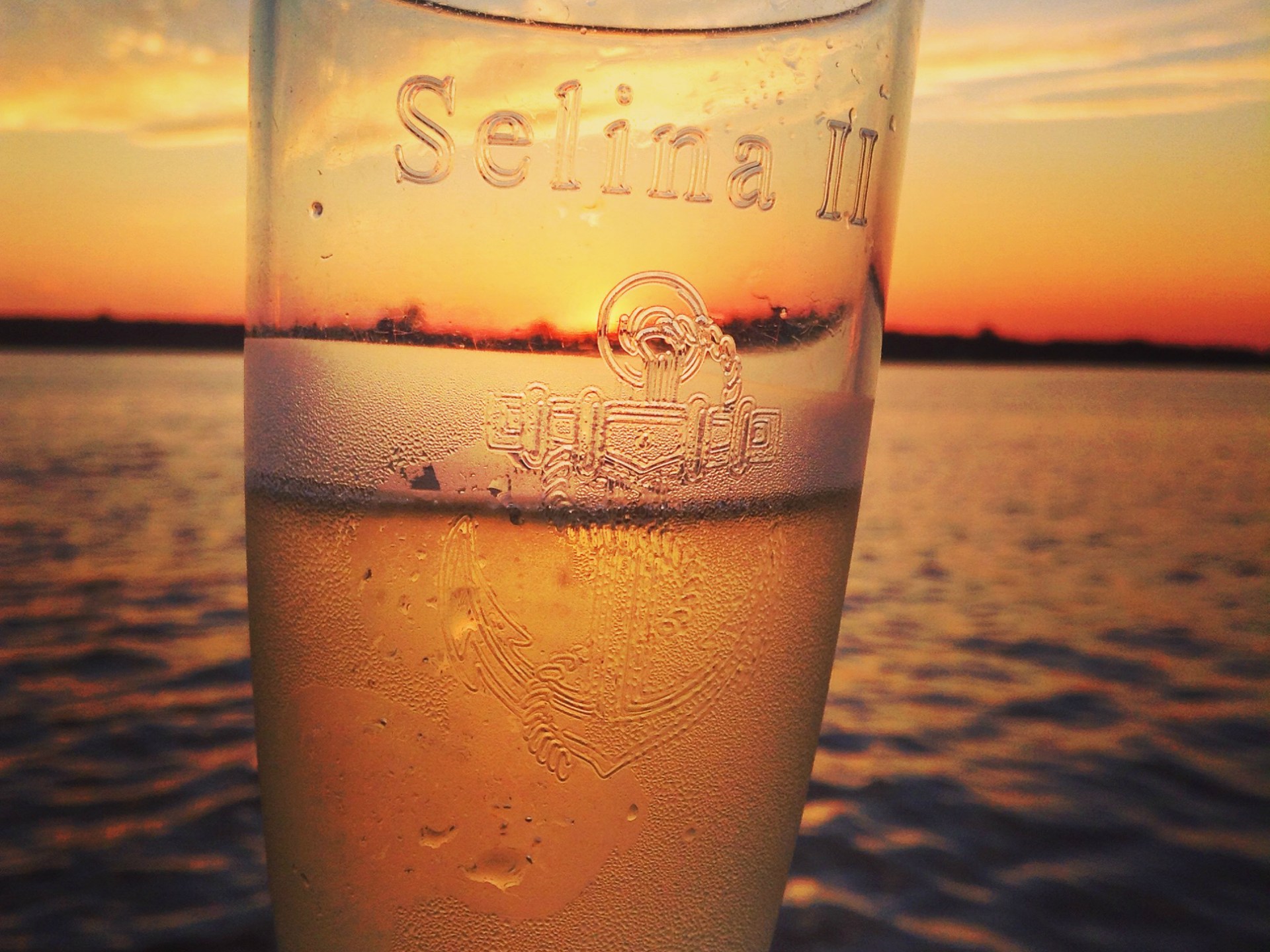 Etched Sail Selina champagne glass - Perfect for sipping bubbly and toasting to a stunning sunset on our boat tour - Book your St Michaels MD experience now!