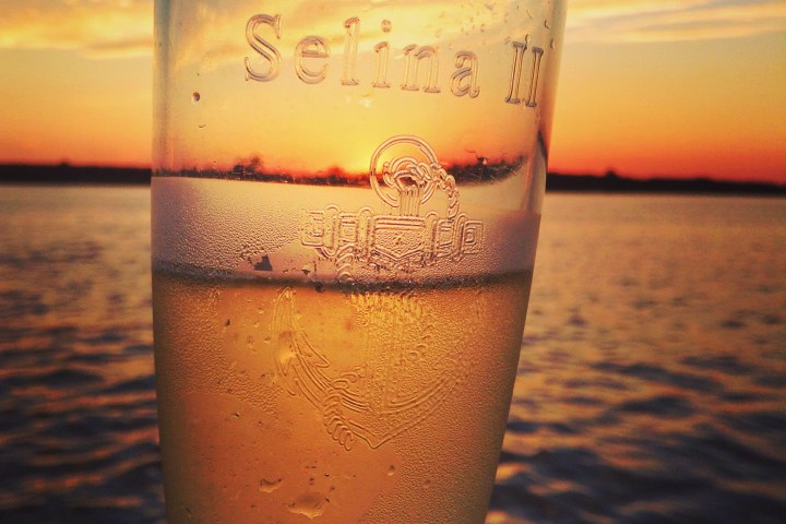 Etched Sail Selina champagne glass - Perfect for sipping bubbly and toasting to a stunning sunset on our boat tour - Book your St Michaels MD experience now!